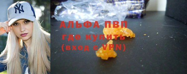 шишки Аркадак