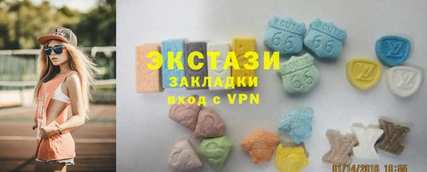 шишки Аркадак