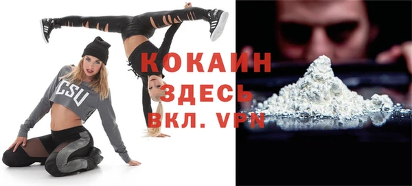 шишки Аркадак