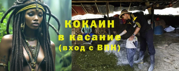 шишки Аркадак
