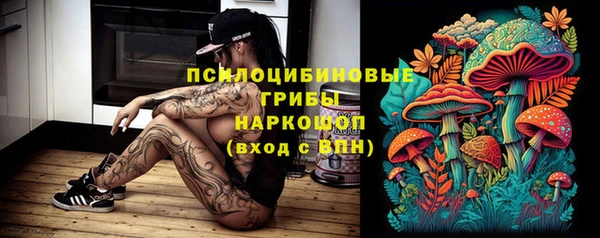 PSILOCYBIN Арсеньев