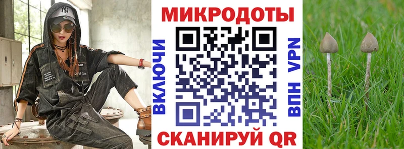 Псилоцибиновые грибы мухоморы  гидра   Ряжск 